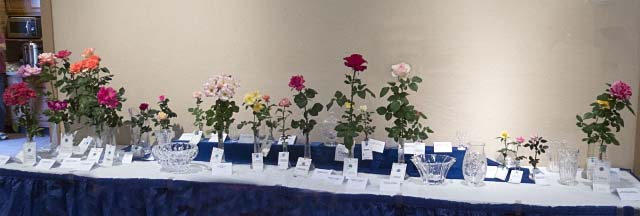 Trophy Table